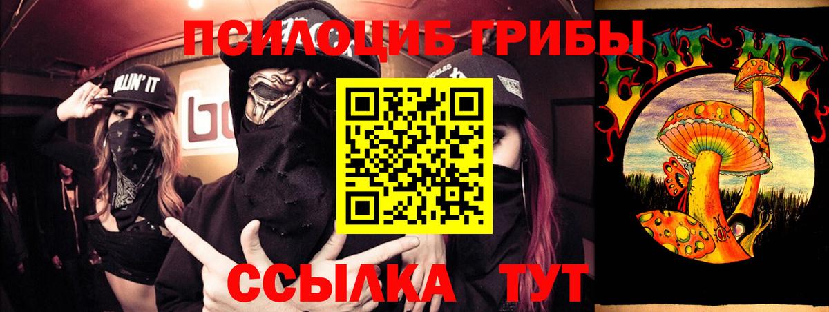 Осинники  Галлюциногенные грибы MAGIC MUSHROOMS  Вход с VPN  Псилоцибиновые грибы мицелий 